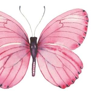 Meet your Posher, Sherry